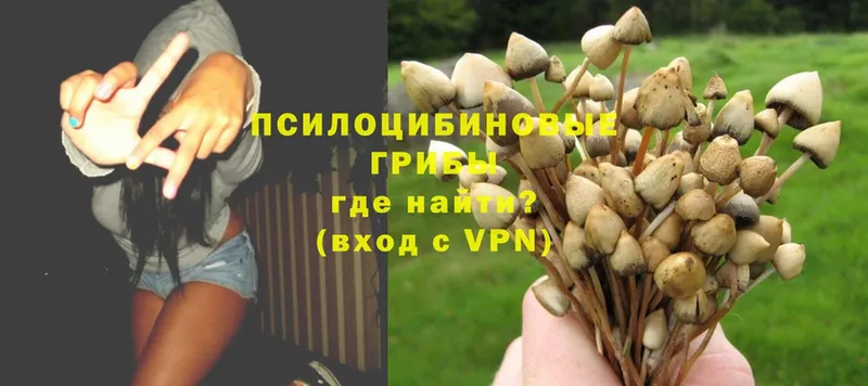 Галлюциногенные грибы MAGIC MUSHROOMS  Давлеканово 